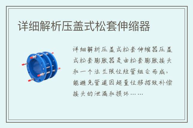 詳細解析壓蓋式松套伸縮器